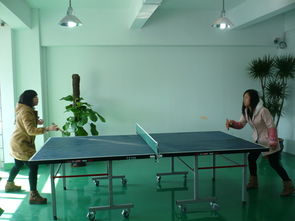 新天會(huì)展 專業(yè)設(shè)計(jì)賦能，打造卓越展覽會(huì)議體驗(yàn)